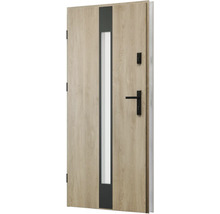 Vchodové dveře se skleněnou vložkou