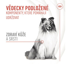 Pes s textem o složkách pro zdravou kůži a srst