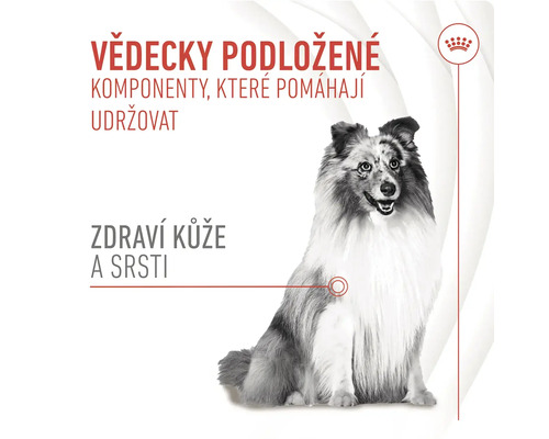 Pes s textem o složkách pro zdravou kůži a srst