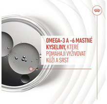 Omega-3 a omega-6 mastné kyseliny, které podporují kůži a srst