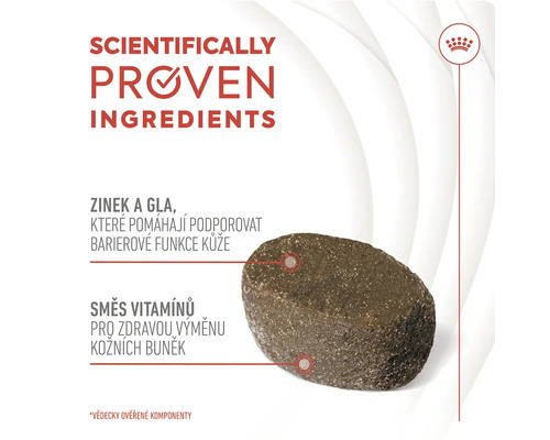 Detailní záběr psího krmiva s vědecky ověřenými složkami