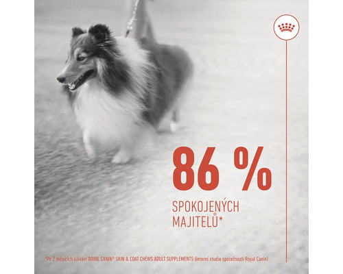 Šeltie a tvrzení, že je 86 procent majitelů spokojeno