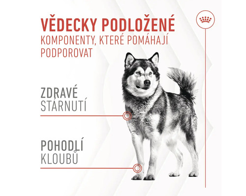 Ilustrace podporující složení komponent pro zdraví psů.