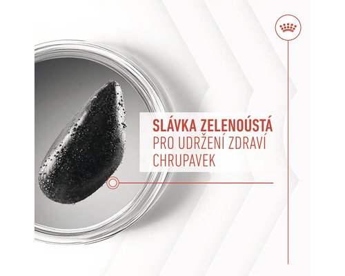 Slávka zelenoústá pro udržení zdraví chrupavek