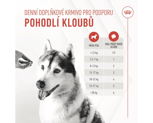 Doplňkové krmivo pro podporu kloubů s doporučením dávkování a psem