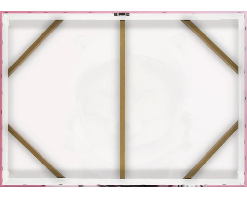 Zadní strana plátna s dřevěným rámem