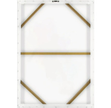 Zadní strana plátna s dřevěným rámem a závěsným zařízením