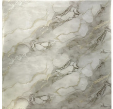 Obkládačka se vzhledem mramoru