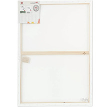 Malířské plátno o rozměrech 60x80 cm