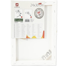 Malířské plátno o rozměrech 24 x 30 centimetrů