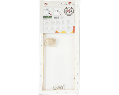 Plátno na rámu o rozměrech 20x50 cm