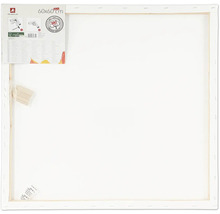 Malířské plátno na rámu, 60 x 60 cm