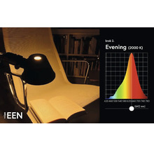 "Stolní lampa osvětluje knihu na židli