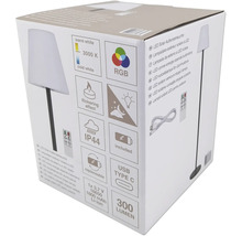 Balení solárního LED venkovního svítidla s technickými detaily, jako je teplé bílé světlo, 3000 Kelvinů, barevný režim RGB, efekt blikání, stupeň krytí IP44, včetně nabíjecího portu USB Type C a světelný tok 300 lumenů