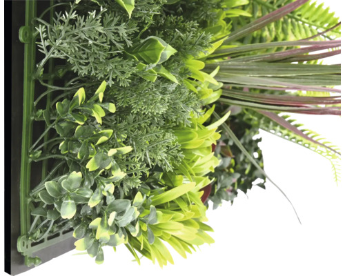 Umělá rostlinná stěna s různými zelenými rostlinami