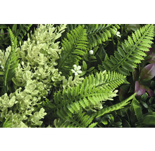 Umělá rostlinná stěna s kapradinou a květy