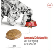 "Pes jí suché krmivo z misky