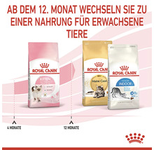 Tři balení krmiva pro kočky Royal Canin: krmivo pro koťata, krmivo pro kočky mainské mývalí a krmivo pro kočky žijící v bytě