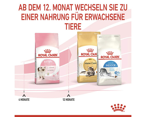 Tři balení krmiva pro kočky Royal Canin: krmivo pro koťata, krmivo pro kočky mainské mývalí a krmivo pro kočky žijící v bytě