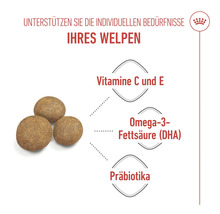 Informace o vitaminech, omega 3 mastných kyselinách a prebiotikách ve štěněcím krmivu.