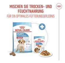 Logo Royal Canin. Balení suchého a vlhkého krmiva pro štěňata střední velikosti