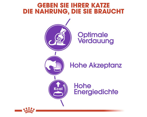 Výhody krmiva pro kočky: Optimální trávení, vysoká akceptace, vysoká hustota energie