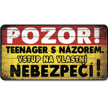 Kovová cedule s nápisem Teenager s názorem, vstup na vlastní nebezpečí