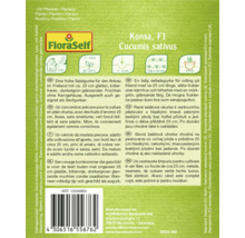 Balení okurkových semen Konsa F1