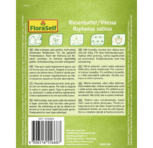 Balení semen Riesenbutter/Vitessa Raphanus sativus