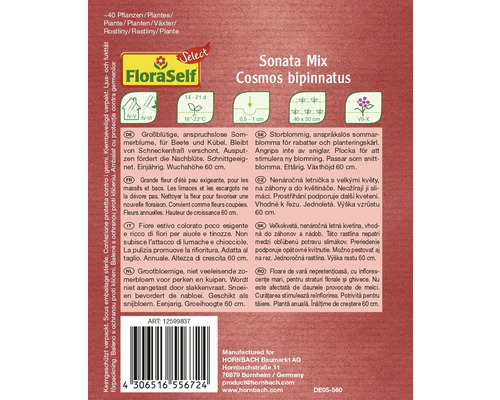 Balíček semen Sonata Mix Cosmos bipinnatus pro přibližně 40 rostlin