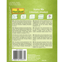 Balení semen Statice Mix Limonium sinuatum od FloraSelf