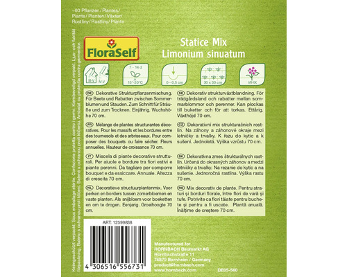 Balení semen Statice Mix Limonium sinuatum od FloraSelf