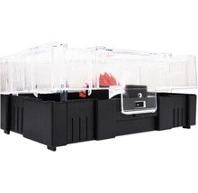 Živolovná past na myši s průhledným víkem