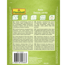 Semena mrkve Rotin Daucus carota