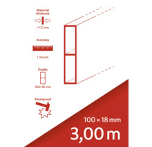 Informace o produktu: tloušťka materiálu menší než 1,2 mm, přesnost 1 mm/m, profil 100x18 mm, nárazuvzdorný, délka 3,00 m