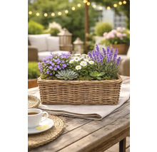 Dekorativní aranžmá z různých rostlin v obdélníkovém košíku na dřevěném stole