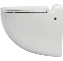 Závěsné WC s hlubokým splachováním a WC sedátkem