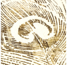 Detailní záběr vzoru tapety s motivem pavího pera v naskicovaném vzhledu na strukturovaném povrchu.