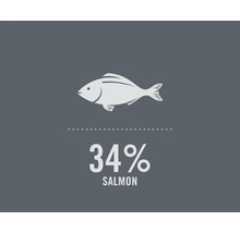 Symbol pro 34 procent podílu lososa