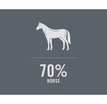 Ilustrace koně s textem 70 procent kůň