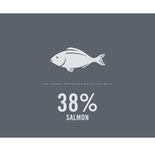 Symbolický obrázek: 38 procent lososa