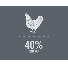 Symbol pro čtyřicet procent kuřecího podílu