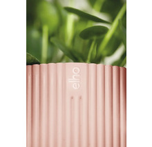 Detailní pohled na žebrovaný květináč s logem Elho a rostlinami