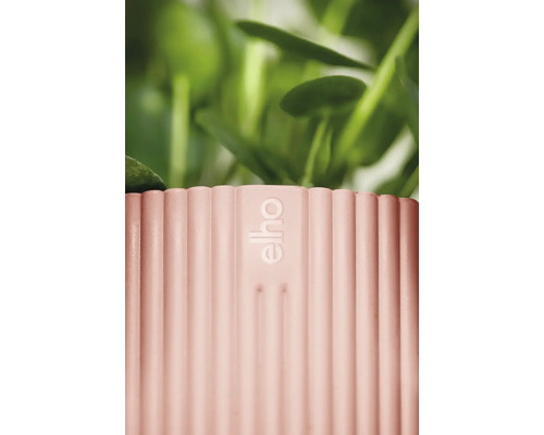 Detailní pohled na žebrovaný květináč s logem Elho a rostlinami