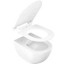 Závěsné WC z bílé keramiky s odnímatelným WC sedátkem a víkem.