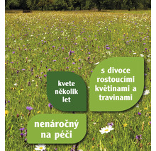 Divoká louka s divoce rostoucími květinami a travinami, kvete několik let a je nenáročná na péči.