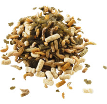 Směs krmiva pro rybniční ryby se sušeným hmyzem, peletami a vločkami.