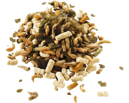 Směs krmiva pro rybniční ryby se sušeným hmyzem, peletami a vločkami.