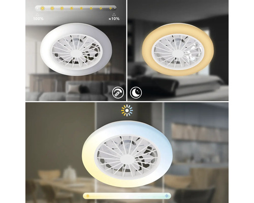 Kulaté stropní LED svítidlo s ventilátorem, stmívatelné od 100 do přibližně 10 procent, nastavitelná teplota barev a funkce nočního světla.