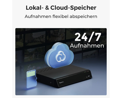 Síťový videorekordér Reolink s ikonami pro lokální ukládání na paměťovou kartu a cloudové úložiště pro záznam dvacet čtyři hodin denně.